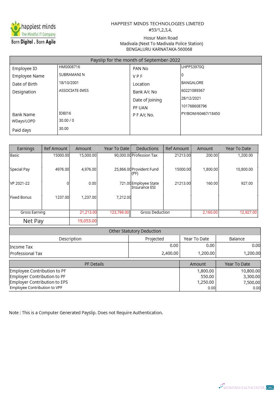 Download Happiest Minds Technologies payslip template in Word and PDF formats.pdf, 1 Photoshop template